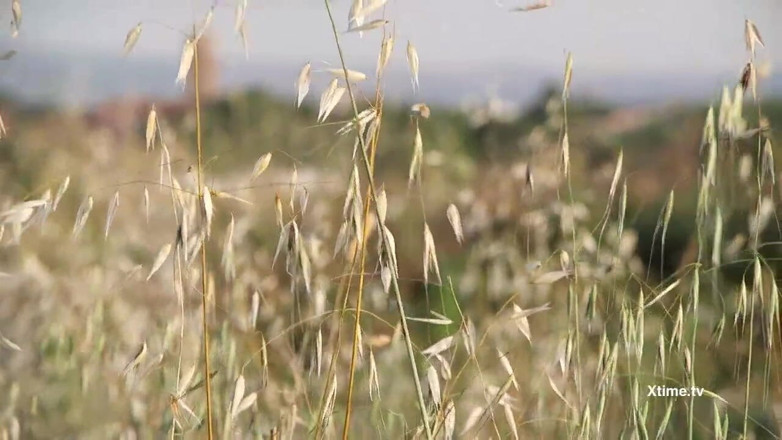 Andrea Dipre Channel: Le palle di andrea Dipre calci in campagna