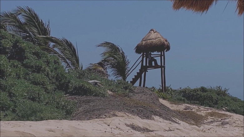 Dom Rod: Lujuria en la playa de ensueño 1