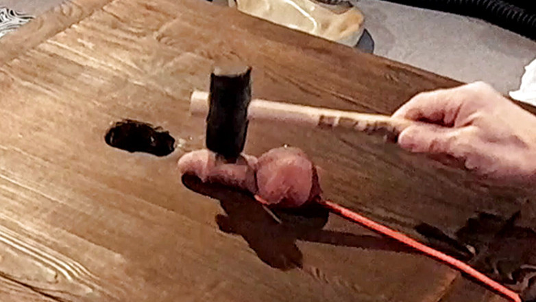Master Drex: Styrelse för kuk och bollar