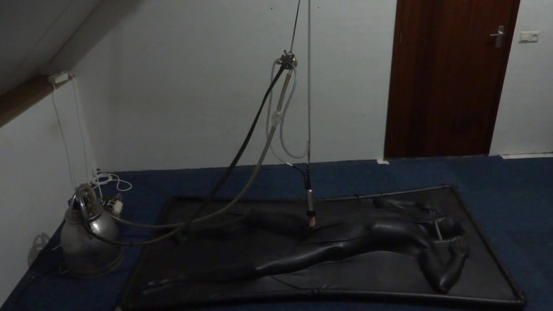 NL Milking: Traite sous vide