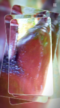 A Huge Dick Ready for Your Ass and Pussy