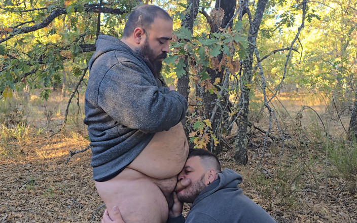 Osoychaser: Gli Orsi Grassi Mangiano I Galli Nella Foresta