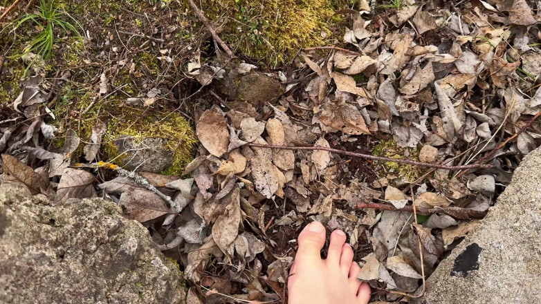 Vasya Sylvia: Andar Descalço na Floresta - Fetiche por Pés - Pés Descalços!