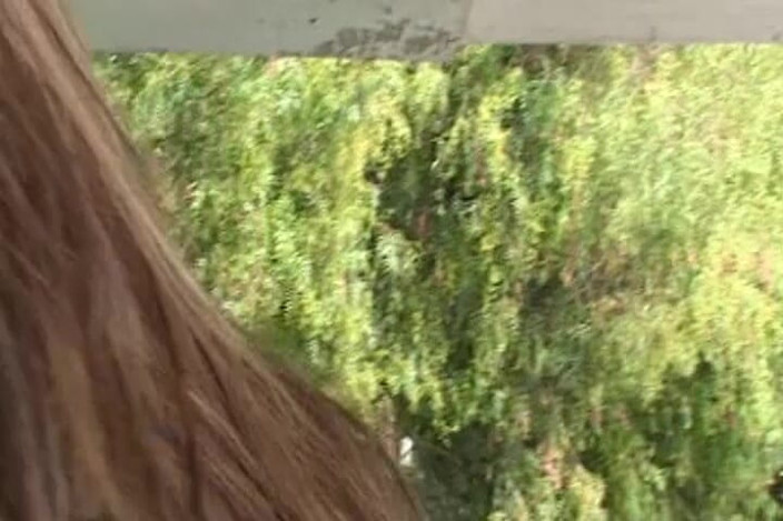 Perv Milfs n Teens: F-Ing tieners deel 2 - Michelle Maylene - perverse milfs n tieners