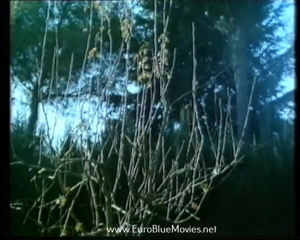 Euro Blue Movies: Коледж заборонених задоволень - 1987