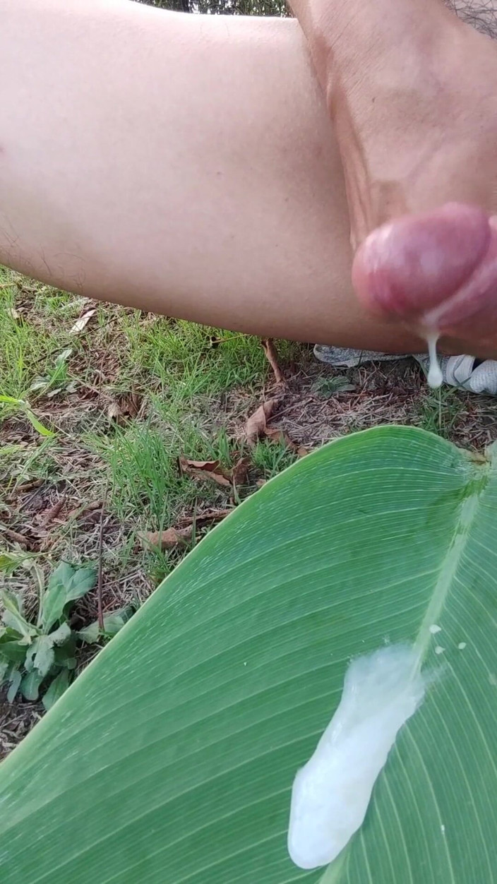ChineseBisexual: Promenades nues dans le parc en train de pisser et...
