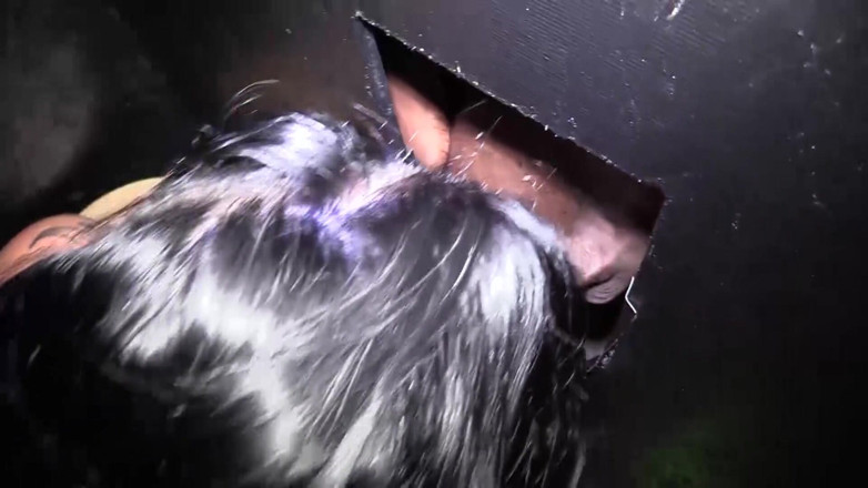 Jason Michaels: Alt dicke titten, Kali Danes gloryhole
