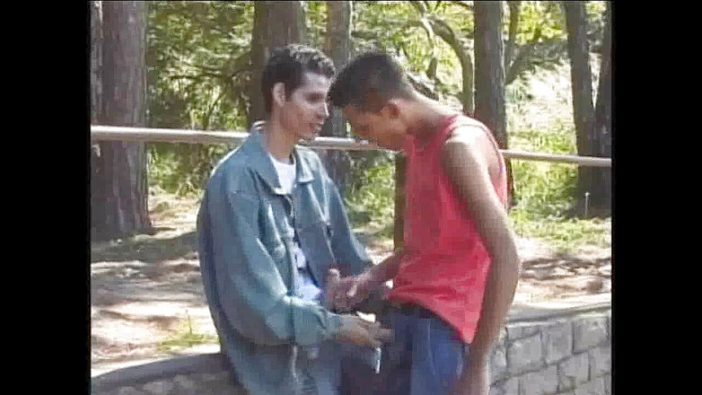 Discret Cruising sex: Latino scintille fcukin dans une croisière dans la forêt d'exhib