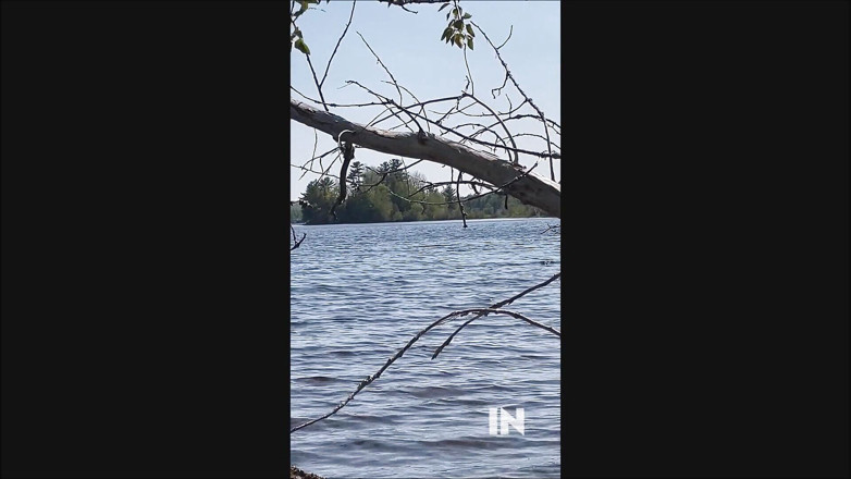 Dom Rod: Nackt am see