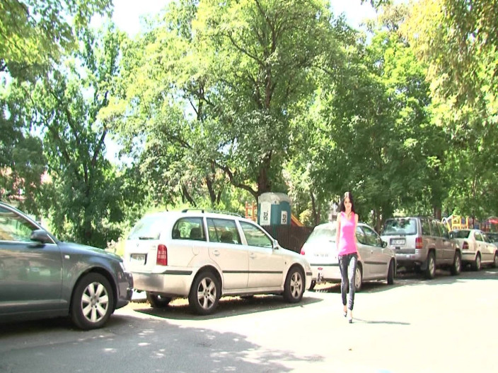 European fresh porn: Brunetă sexy din parc invitată la sex