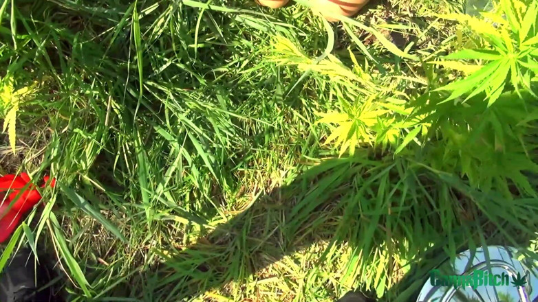 Cumbizz: 魂が私の体を離れるBBCは私の内臓を掘り出します!