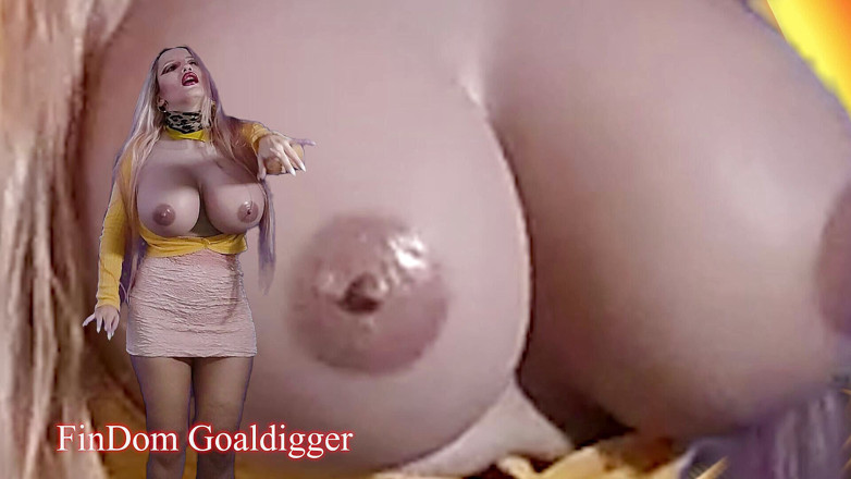 FinDom Goaldigger: Android ISTRUZIONI PER SBORRARE