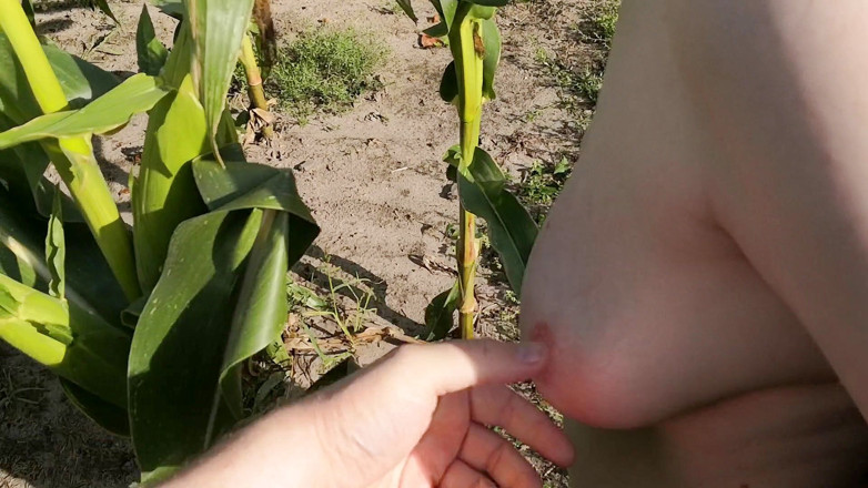 Bouncy Tits Action: Tampar saya di padang jagung