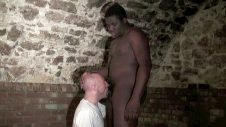Jess Royan XXX: Jess ki sanvli dvara xxl land ke saath chudaee