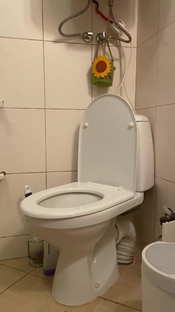 Elena917: Pisse et nettoyage des toilettes avec ma langue