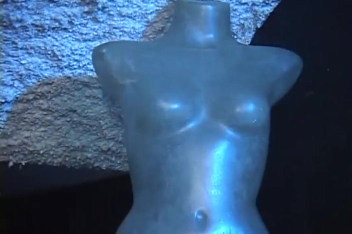 She-Male X: Jocuri anale transexuale...