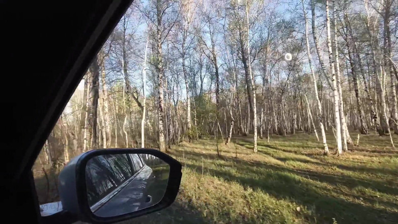 Johny84helen: Dans la forêt sur une voiture