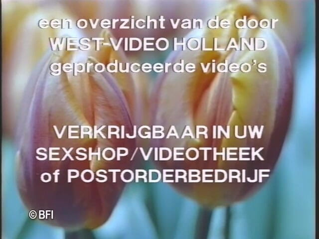Naughty by nature in Holland: 荷兰制造 7 DVD