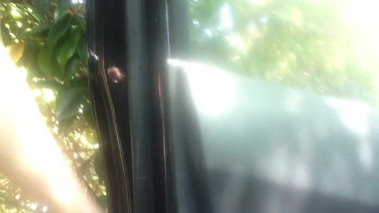 savannahamatoriale: Ik probeer me te neuken, in de auto ...