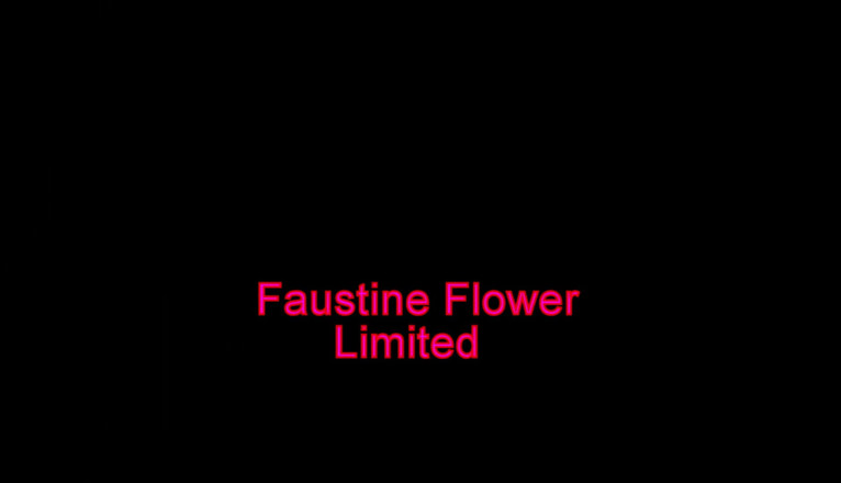 Faustine: Travesti Faustine dildo emiyor ve boşalıyor