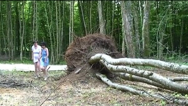 Hard Lesbians: Deux femmes matures dans la nature rejoignent leur nouvelle amie...
