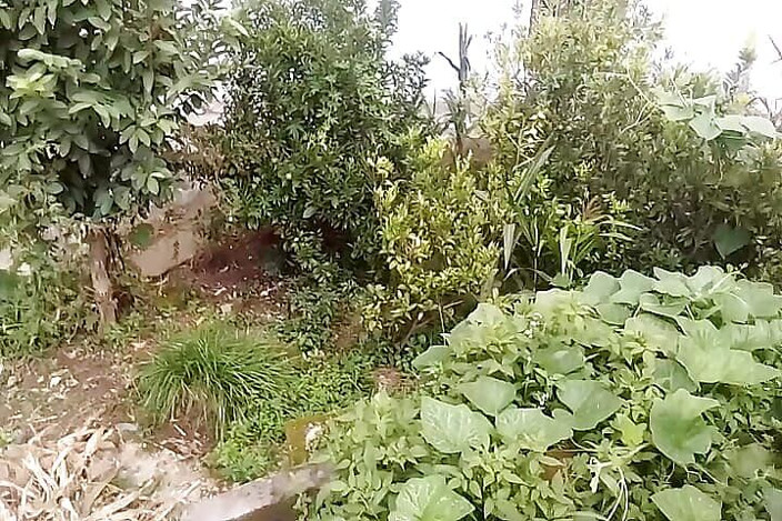 Thakursammy: Tại nhà của Nirmal Sir, tôi đã bí mật thủ dâm...