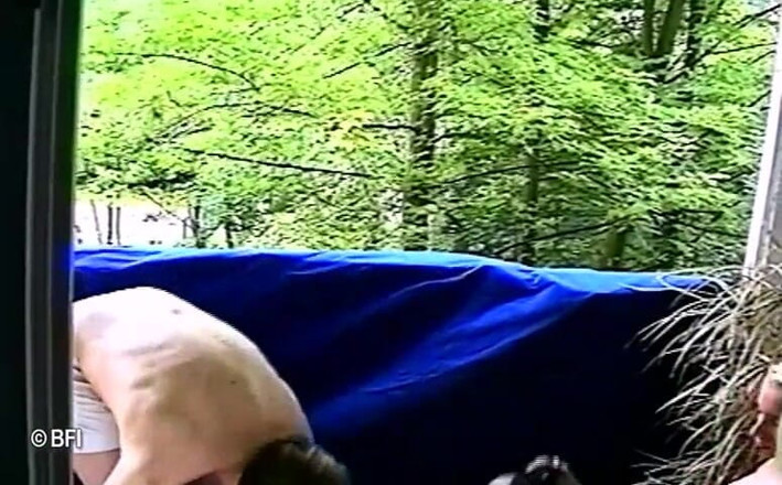 Horny Teenies: Teensex power parte 6