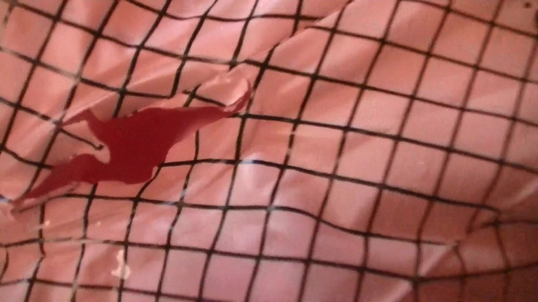 Mark Hannes: Nackte Creampie Sexpuppen Fick Masturbation