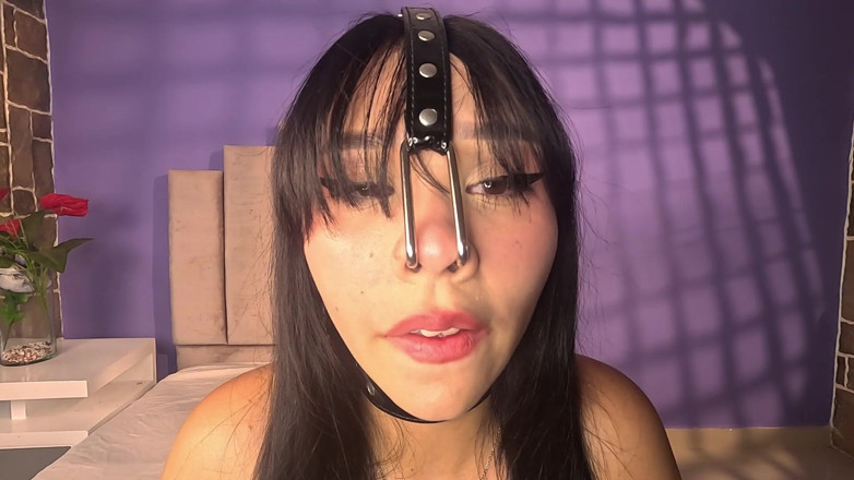 Angellkink: 하네스 돼지 놀이