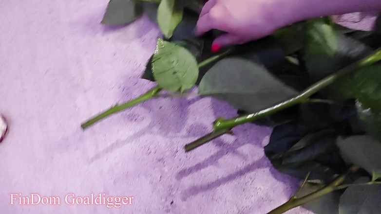 FinDom Goaldigger: 两个浪漫的出轨故事