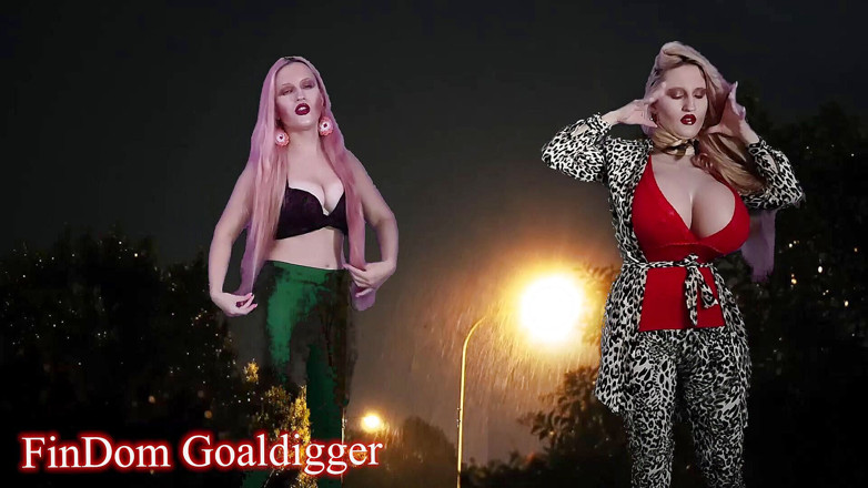 FinDom Goaldigger: Híbrido con transformación de alas