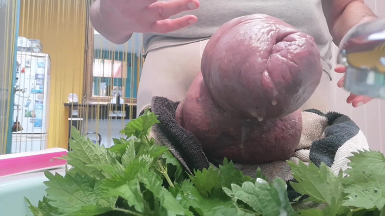 Monster_Meat_: Кінчаю з кропивою і щіткою