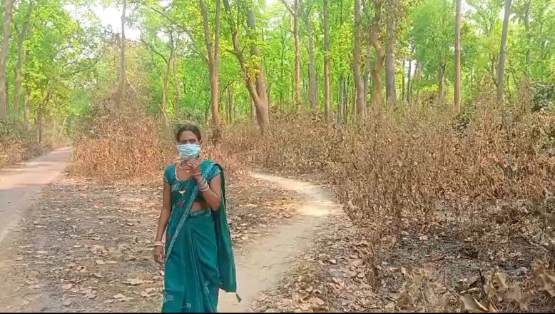 Bk Vlogs: Desi Bhabhi sex video v džungli