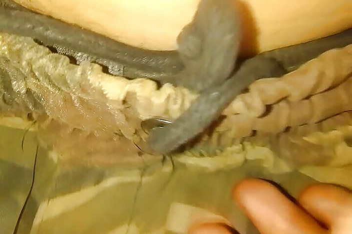 Thakursammy: Oral Health XXX
