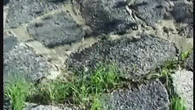 THAGSON 18+: Una miLF arrapata si sditalina la figa gocciolante e piscia...