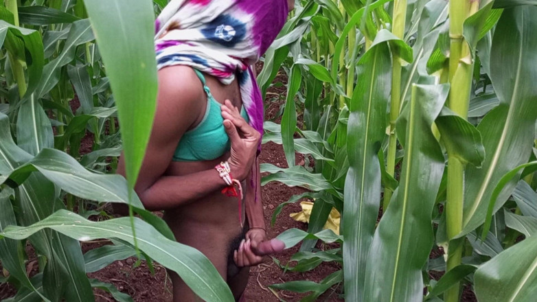 Indian Hijraji: Cao đẳng Desi Eunuch có rất nhiều niềm vui trong cánh đồng...