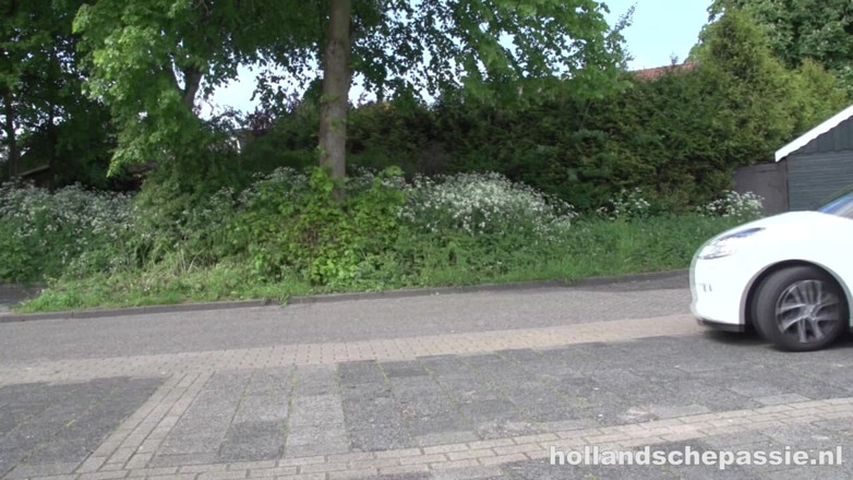 Hollandsche Passie: 埃丝特之心与她那磨损的内裤