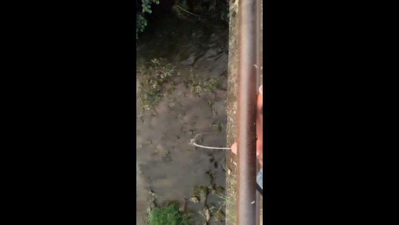 Idmir Sugary: Elle s'enfile de la pisse depuis le pont dans la...
