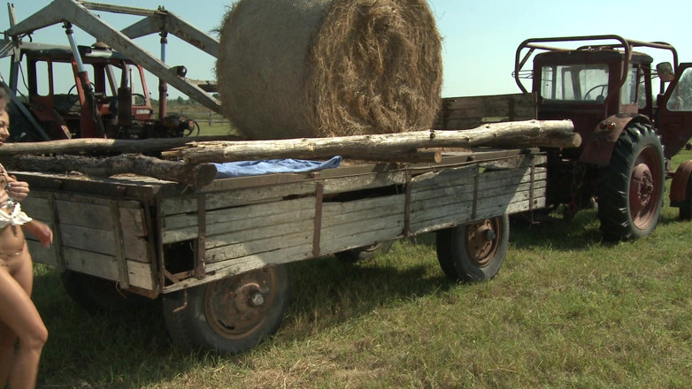 Horny Farmers: Secretos de maizales revelados