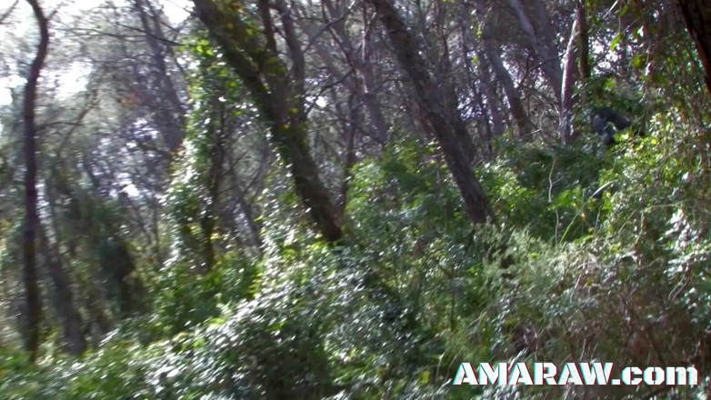 Amaraw: 갈색 머리 Vladana를 위한 이중 삽입과 핫한 애널 쓰리섬