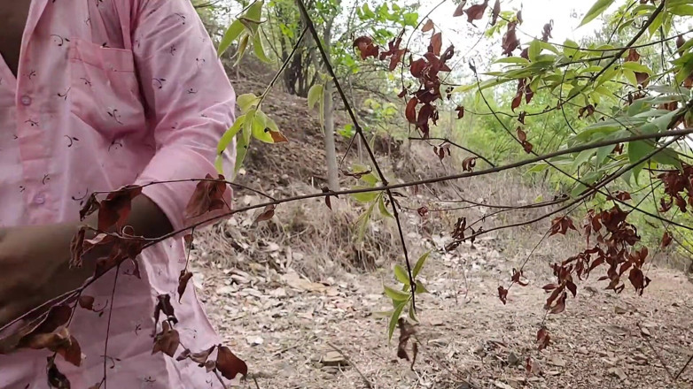 Suhani: Cuplu indian în natură