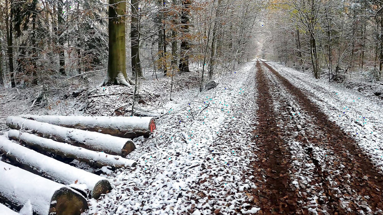 Bouncy Tits Action: Pukulan pepek bogel keras di Winter Wonderland