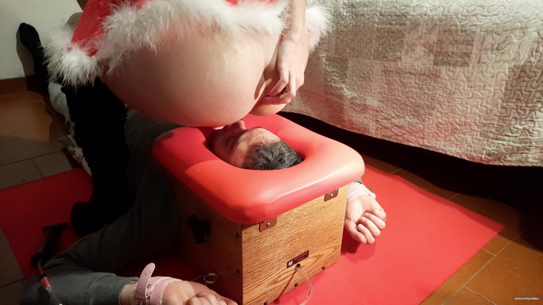 goddess82: Op gezicht zitten en prettige kerstdagen! 