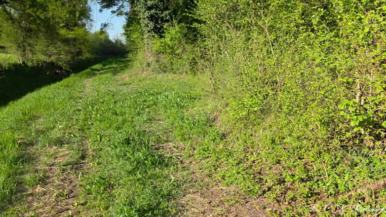 Malou-Nu: Borttappad i skogen. och plötsligt blir det farligt varmt