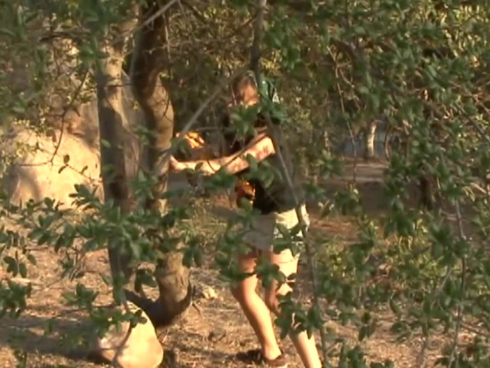 Bananas with Melons: Amorevole trio di gattini scena-3_lesbian con giocattoli e sborrano insieme