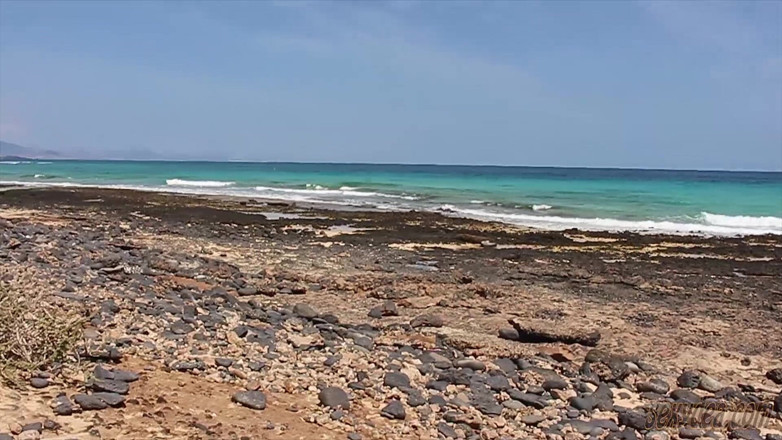 King of datass: Albufeira Beach Stříkání mrdky na pláži