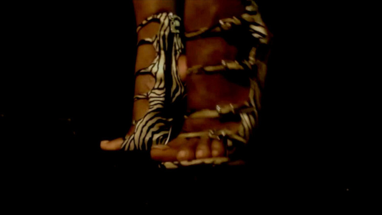 The Goddess Simone: Sexy zebra hoge hakken