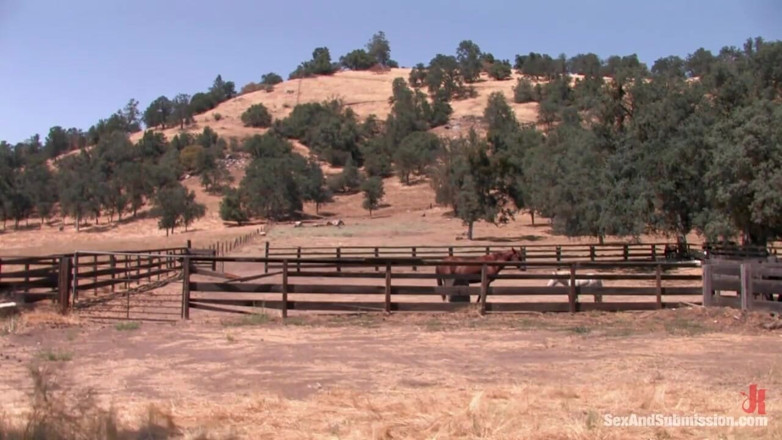 Sex and Submission by Kink: El Rancho