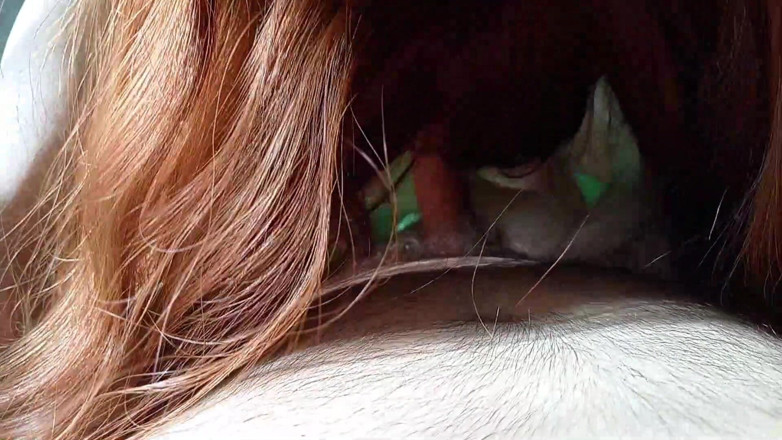 Dimelyx: Zu Besuch bei tante red