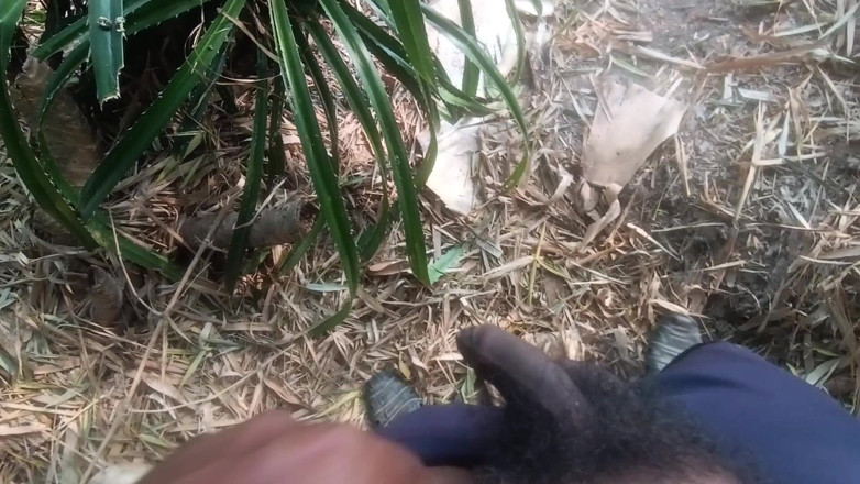 Kunukuni: Une bhabhi du village se fait pomper à la main dans...